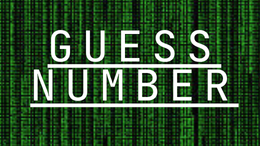 Guess the Number